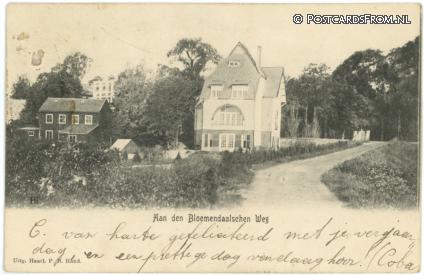 Overveen, Aan de Bloemendaalsche Weg ansichtkaart: Overveen, Aan de Bloemendaalsche Weg