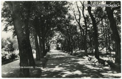 ansichtkaart: Castricum, Bakkum. Zeeweg