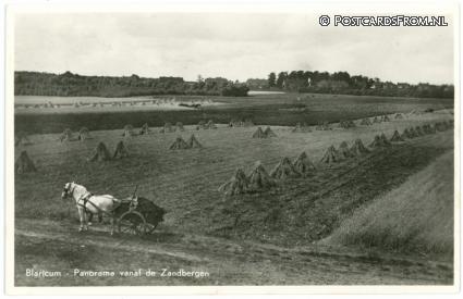 Blaricum, Panorama vanaf de Zandbergen ansichtkaart: Blaricum, Panorama vanaf de Zandbergen