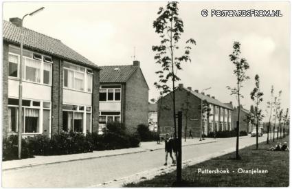 ansichtkaart: Puttershoek, Oranjelaan