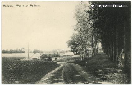 ansichtkaart: Heelsum, Weg naar Wolfheze