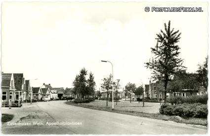 ansichtkaart: Zevenhuizen GN, Weth. Appelhofplantsoen