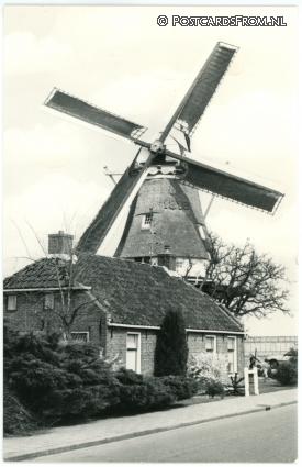 ansichtkaart: Zandeweer, Korenmolen 'Windlust'