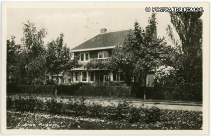 ansichtkaart: Zuidhorn, Plantsoen