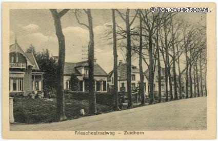 Zuidhorn, Frieschestraatweg ansichtkaart: Zuidhorn, Frieschestraatweg