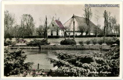 Zuidhorn, Plantsoen ansichtkaart: Zuidhorn, Plantsoen