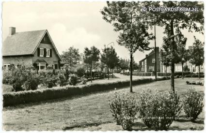 Waspik, Julianastraat met plantsoen ansichtkaart: Waspik, Julianastraat met plantsoen