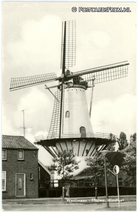 Westmaas, Molen Windlust ansichtkaart: Westmaas, Molen Windlust