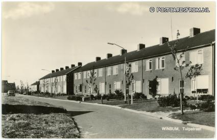 ansichtkaart: Winsum GN, Tulpstraat