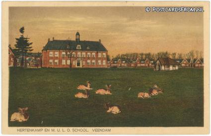 ansichtkaart: Veendam, Hertenkamp en M.U.L.O.