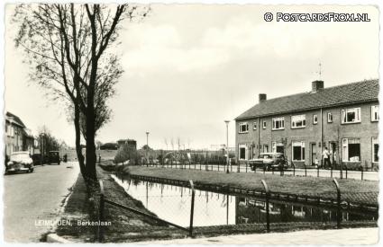 ansichtkaart: Leimuiden, Berkenlaan
