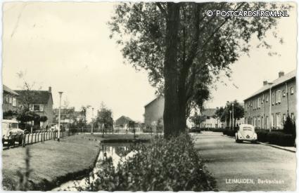 ansichtkaart: Leimuiden, Berkenlaan