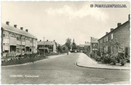 ansichtkaart: Leimuiden, Kastanjelaan