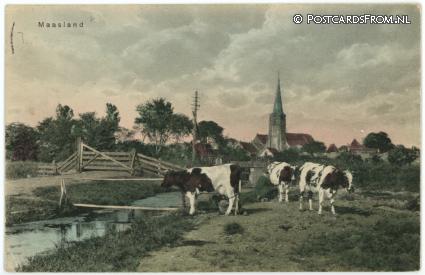 ansichtkaart: Maasland, --