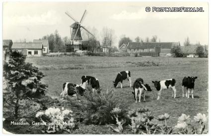 ansichtkaart: Maasdam, Gezicht op de Molen