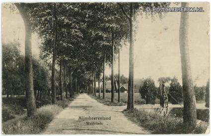 ansichtkaart: Mijnsheerenland, Westeinde