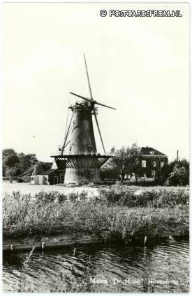 ansichtkaart: Rozenburg ZH, Molen 'De Hoop'