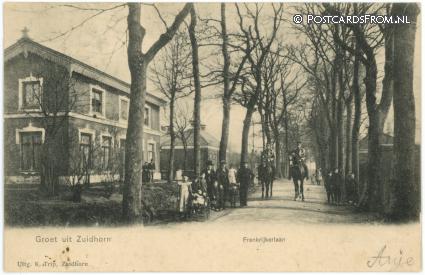 Zuidhorn, Frankrijkerlaan ansichtkaart: Zuidhorn, Frankrijkerlaan