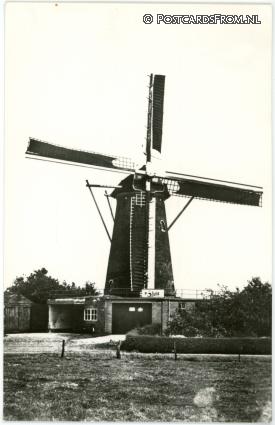 ansichtkaart: Wouw, Korenmolen 'De Arend'