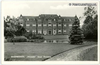 Wagenborgen, Rehoboth. Groot Bronswijk ansichtkaart: Wagenborgen, Rehoboth. Groot Bronswijk