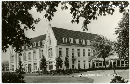 Wagenborgen, Paviljoen Eben Haezer ansichtkaart: Wagenborgen, Paviljoen Eben Haezer