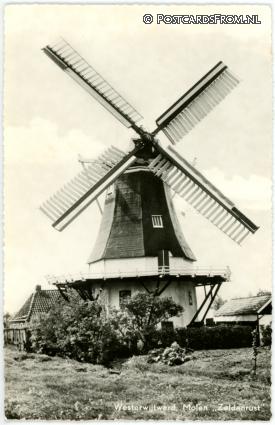 ansichtkaart: Westerwijtwerd, Molen 'Zeldenrust'