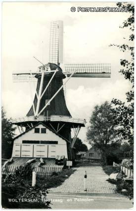 Woltersum, Houtzaag- en Pelmolen ansichtkaart: Woltersum, Houtzaag- en Pelmolen