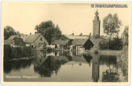 ansichtkaart: Nieuwkoop, Plasgezicht