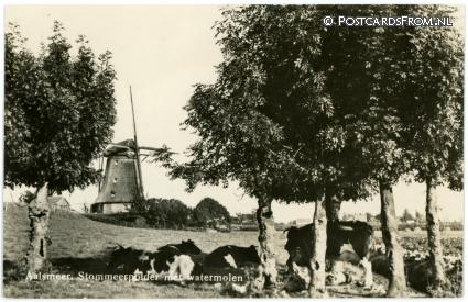 Aalsmeer, Stommeerpolder met watermolen ansichtkaart: Aalsmeer, Stommeerpolder met watermolen