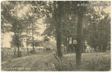 Oosterwolde FR, -- ansichtkaart: Oosterwolde FR, --