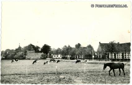 ansichtkaart: Westerlee, Dorpsgezicht