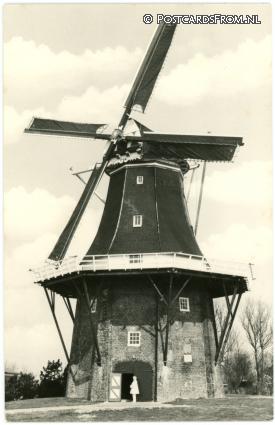ansichtkaart: Usquert, Koren- en Pelmolen 'Eva' Ao.1818